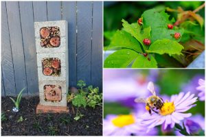 How to Attract Beneficial Insects to Your Garden